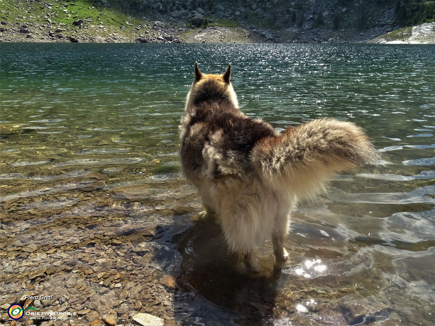 52 Bello stare nell'acqua fresca col sole a picco!.JPG